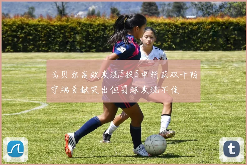 戈贝尔高效表现5投5中斩获双十防守端贡献突出但罚球表现不佳